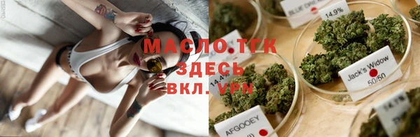 дмт Алексин