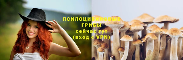 кокс Алексеевка