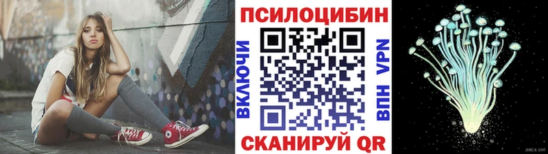 Галлюциногенные грибы MAGIC MUSHROOMS  закладки  Александровск 