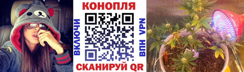 МАРИХУАНА тримм наркота Александровск